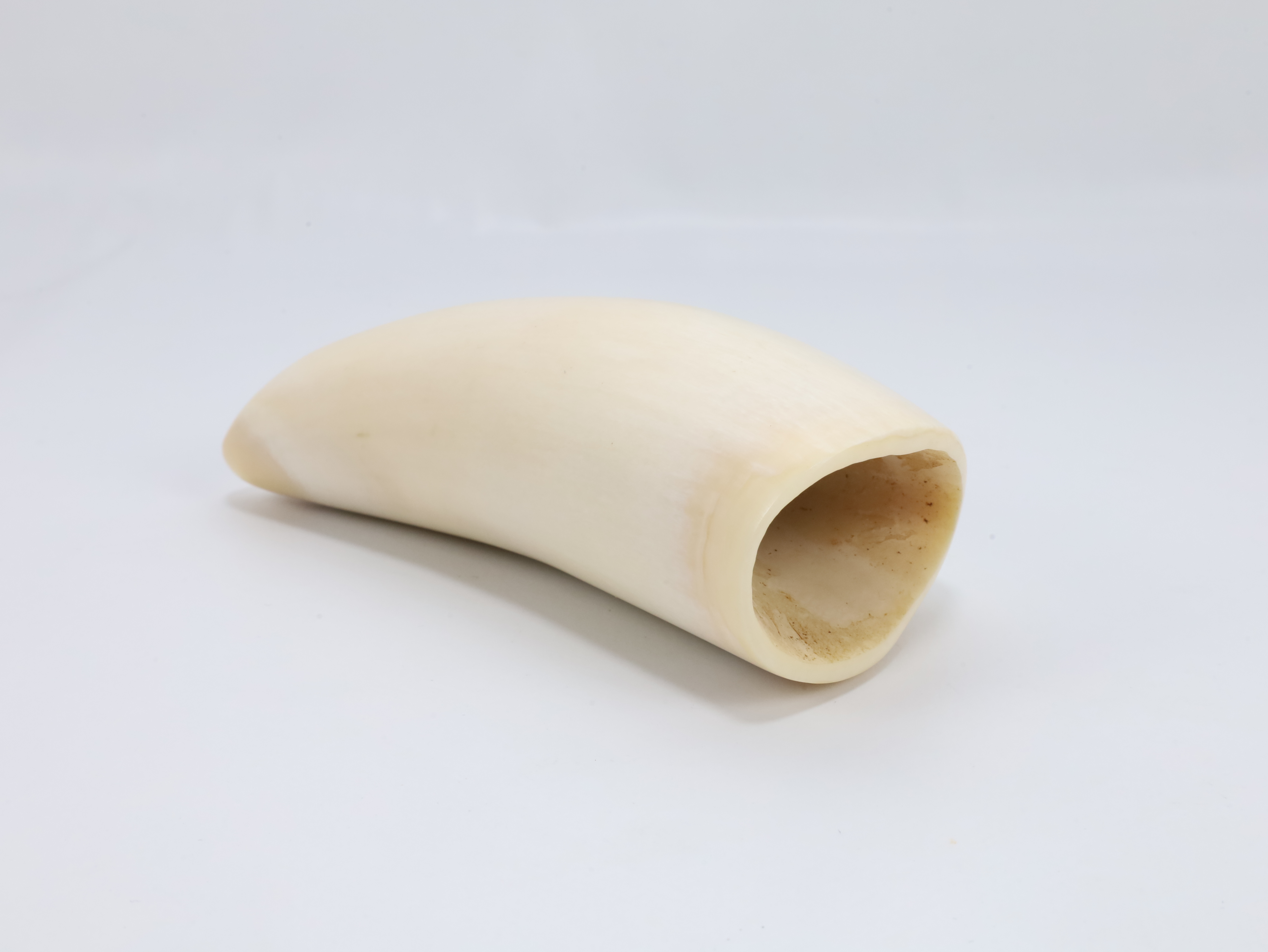 Hvaltann – ca. første halvdel av 1900-tallet